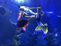 -多彩贵州城极地海洋世界