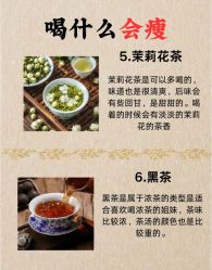 -Fundi张玉珊修身堂·indiba·BTL科技瘦身
