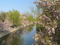 -海棠花溪(元大都城垣遗址公园)