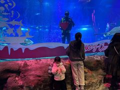 -沈阳海洋探索中心