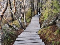 -白草畔自然风景区