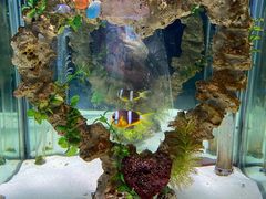 -太平洋海底世界