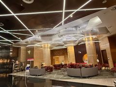 -南京禄口机场雅高铂尔曼大酒店