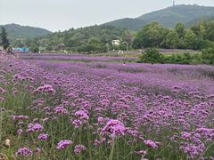 -冶父山国家森林公园