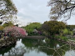 -无锡蠡湖国家湿地公园-蠡园
