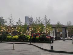 -成都尼依格罗酒店