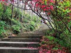 -岳西天峡风景区