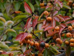 -丽江泸沽湖景区
