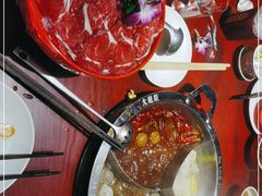 -大龙燚·旷野鲜火锅(广州首店)