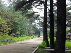 android_upload_pic-宝泉胜境旅游度假区