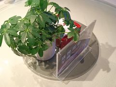 -大鸭梨烤鸭(枣园店)