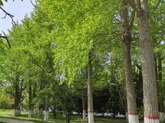 -石家庄市植物园