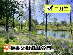 -瑶湖郊野森林公园