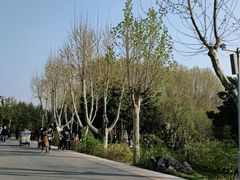 -郑州植物园