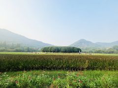 -八卦田遗址公园