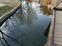 -春风习习