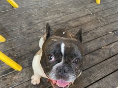 -丰收渔港饭店(嵊泗店)