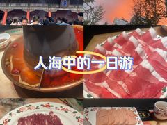 -清真·老门框爆肚涮肉·中华老字号(丰管路店)