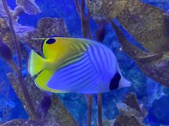 -太平洋海底世界