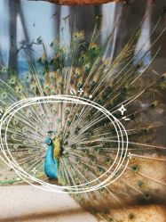 -酷嗒动物文化乐园(cutezoo西溪乐天城店)