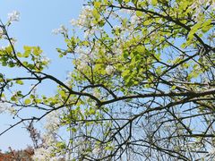 -白马涧龙池景区