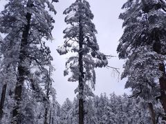 -瓦屋山景区