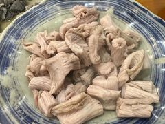 羊肚仁-金生隆(六铺炕店)