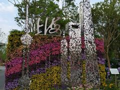 -上海鲜花港