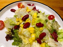 蔬菜沙拉-布拉格餐厅· 中欧捷克菜(全国首店)