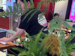 -老板恋上鱼(恒隆广场店)