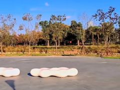 -上海山野camping·户外天幕烧烤·团建拓展营地