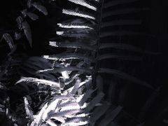 -上海怡沁园度假酒店