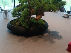 -百富源·海鲜辽菜(浑河堡店)