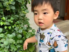 -伦教678文化街