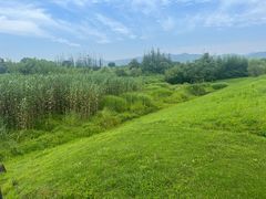 -良渚古城遗址公园