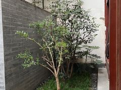 -西安华清御汤酒店