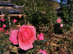 -韶关经律论国际酒店温泉