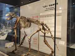 -北京周口店北京人遗址博物馆