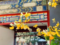 -潭柘寺景区