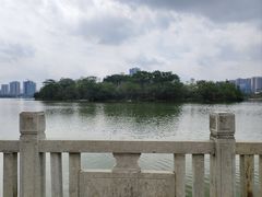 -飞来湖湿地公园