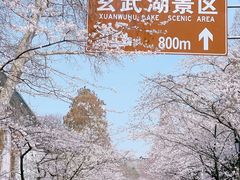 -鸡鸣寺