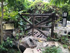 -河源客天下-温泉小镇