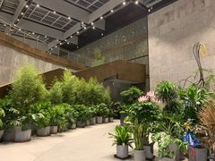 -奈雪的茶(skp店)
