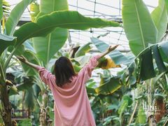 -呀路古热带植物园