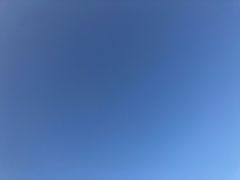 -萌萌牛紫米露(烟台大学店)