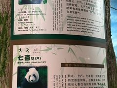 -鄂尔多斯野生动物园