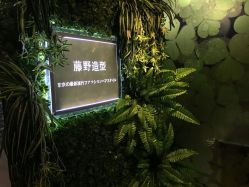 -藤野造型·专业烫染店
