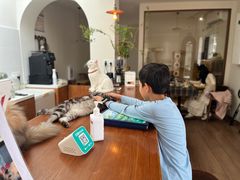 -有猫主题·治愈系猫咖(曾厝垵店)