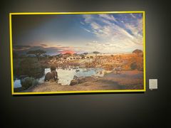 -广西壮族自治区博物馆