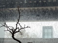 -元生咖啡(陶溪川店)